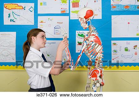 Stock Photograph - Girl with skeleton. Fotosearch