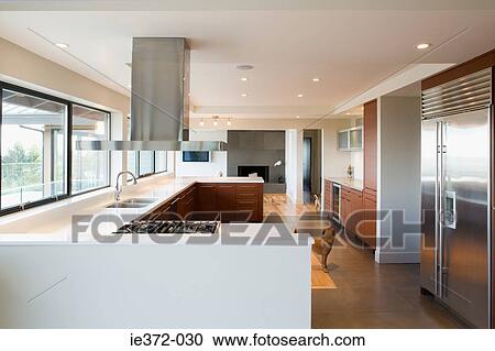 Dogs in kitchen View Large Photo Image Stock Image - Dogs in kitchen. Fotosearch