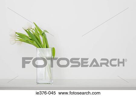 Tulips in vase View Large Photo Image Stock Photography - Tulips in vase. Fotosearch