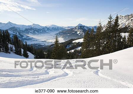 A winter scene View Large Photo Image Stock Image - A winter scene. Fotosearch