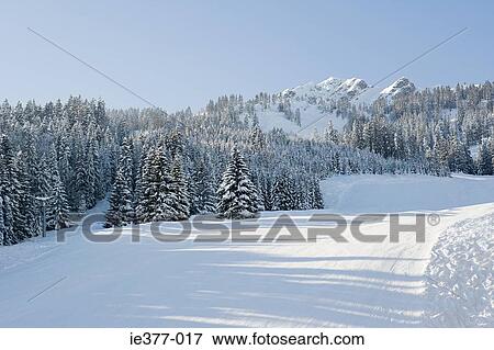 A winter scene View Large Photo Image Stock Photo - A winter scene. Fotosearch