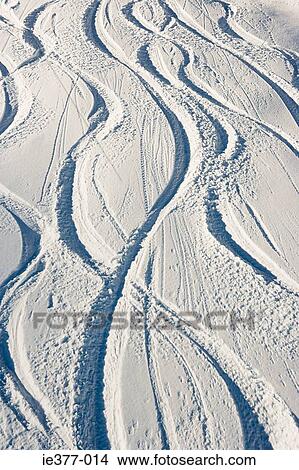 Tracks in snow View Large Photo Image Picture - Tracks in snow. Fotosearch