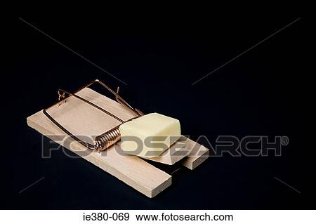 Cheese on a mousetrap View Large Photo Image Stock Photo - Cheese on a mousetrap. Fotosearch