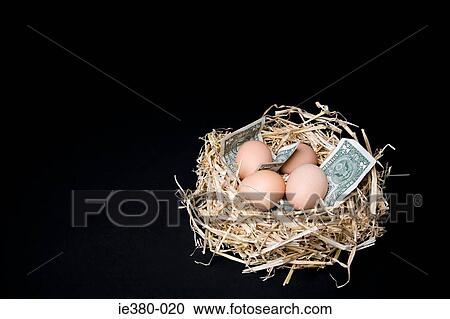 Eggs and dollars in nest View Large Photo Image Stock Image - Eggs and dollars in nest. Fotosearch