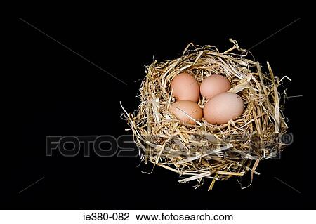 Eggs in a straw nest View Large Photo Image Stock Image - Eggs in a straw nest. Fotosearch