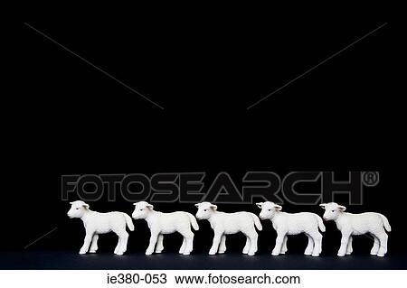 Five toy lambs in a row View Large Photo Image Stock Image - Five toy lambs in a row. Fotosearch