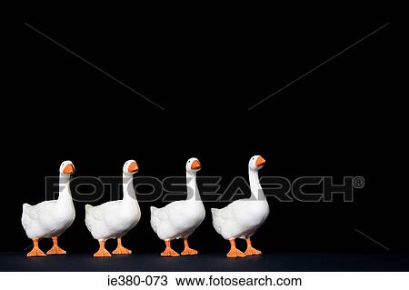 Four toy geese in a row View Large Photo Image Stock Image - Four toy geese in a row. Fotosearch