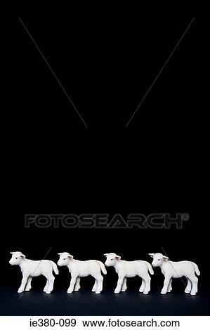 Four toy lambs in a row View Large Photo Image Stock Photo - Four toy lambs in a row. Fotosearch