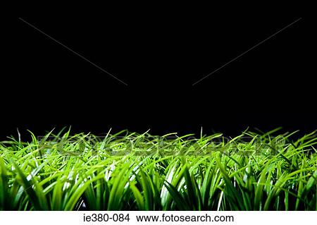 Grass and black background View Large Photo Image Picture - Grass and black background. Fotosearch