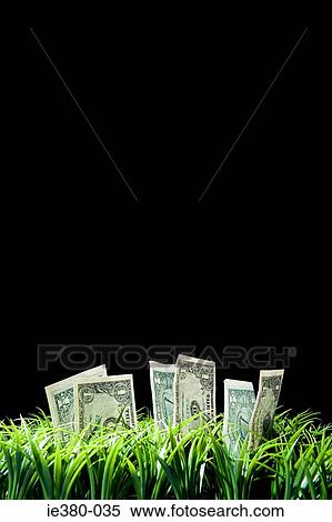 Money growing from a lawn View Large Photo Image Stock Photography - Money growing from a lawn. Fotosearch