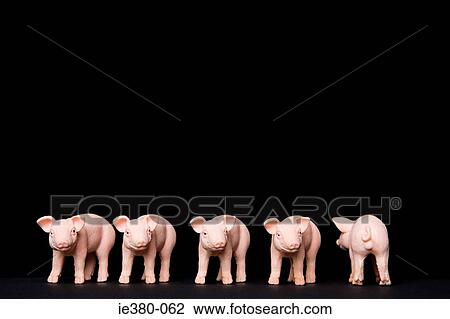 Piglet looking in another direction from rest View Large Photo Image Stock Image - Piglet looking in another direction from rest. Fotosearch