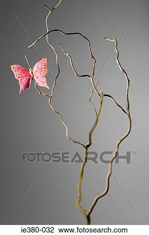Pink butterfly on a dead branch View Large Photo Image Stock Image - Pink butterfly on a dead branch. Fotosearch