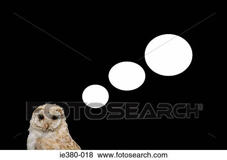 Speech bubbles coming from an owl View Large Photo Image Stock Photo - Speech bubbles coming from an owl. Fotosearch