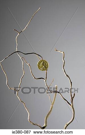 Ten pence coin on a tree View Large Photo Image Stock Photo - Ten pence coin on a tree. Fotosearch