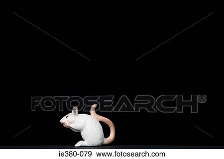 Toy mouse on black background View Large Photo Image Stock Photo - Toy mouse on black background. Fotosearch