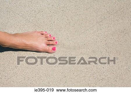 A womans foot View Large Photo Image Stock Photo - A womans foot. Fotosearch