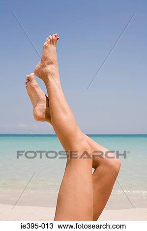 A womans legs View Large Photo Image Stock Image - A womans legs. Fotosearch