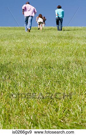 Family in a field View Large Photo Image Stock Photo - Family in a field. Fotosearch