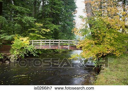 A bridge over a river in silver falls state park View Large Photo Image Stock Photo - A bridge over a river in silver falls state park. Fotosearch
