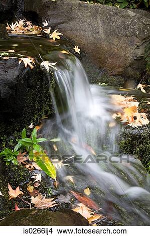 Autumn leaves and a waterfall View Large Photo Image Picture - Autumn leaves and a waterfall. Fotosearch