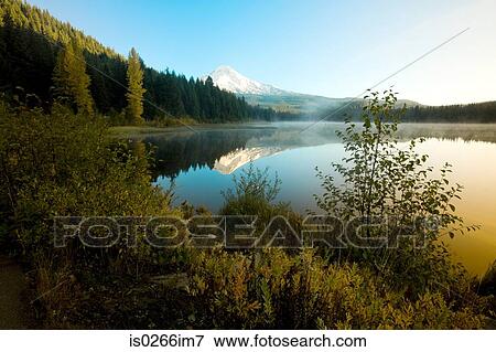 Mounthood and trillium lake View Large Photo Image Stock Photo - Mounthood and trillium lake. Fotosearch