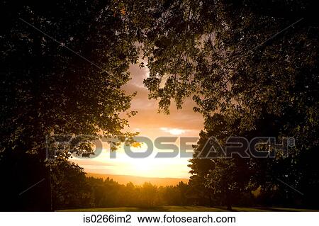 Sunset in happy valley oregon View Large Photo Image Stock Image - Sunset in happy valley oregon. Fotosearch