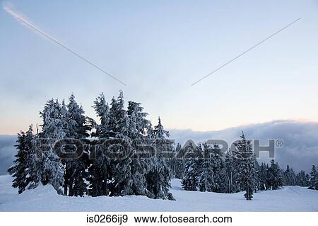 Sunset on a winter scene View Large Photo Image Stock Photo - Sunset on a winter scene. Fotosearch