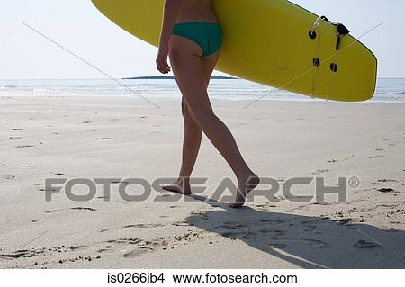 Female surfer carrying a surfboard View Large Photo Image Picture - Female surfer carrying a surfboard. Fotosearch