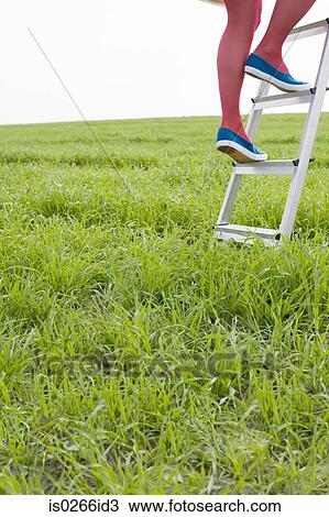 Woman climbing a ladder in a field View Large Photo Image Stock Image - Woman climbing a ladder in a field. Fotosearch