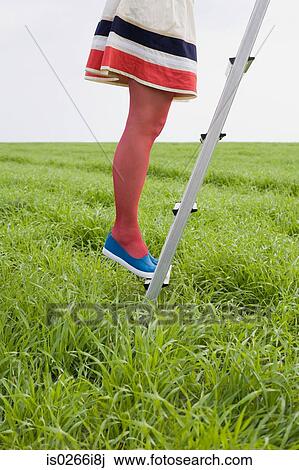 Stock Image - Woman standing on a ladder in a field. Fotosearch
