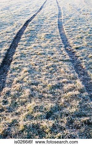 Stock Image - Tracks in frosty grass. Fotosearch