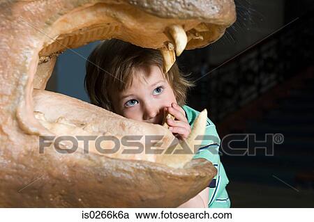 Boy looking at a rhinos teeth View Large Photo Image Stock Image - Boy looking at a rhinos teeth. Fotosearch
