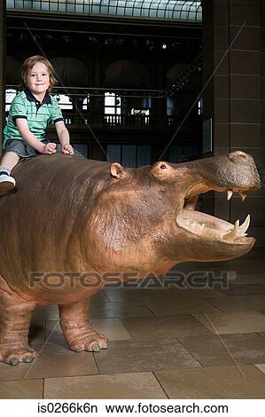 Picture - Boy sitting on a rhino in a museum. Fotosearch