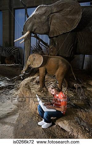 Stock Image - Boy using a laptop computer in a museum. Fotosearch