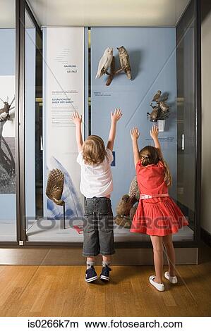 Children looking at a museum exhibit View Large Photo Image Picture - Children looking at a museum exhibit. Fotosearch