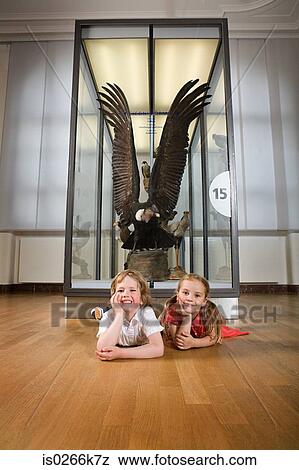 Children with stuffed eagle in a museum View Large Photo Image Stock Photo - Children with stuffed eagle in a museum. Fotosearch