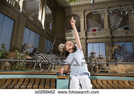 Stock Image - Girl in a museum with stuffed animals. Fotosearch