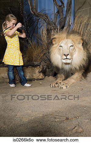 Picture - Girl photographing a stuffed lion. Fotosearch
