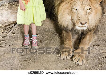 Girl standing beside a stuffed lion View Large Photo Image Stock Image - Girl standing beside a stuffed lion. Fotosearch