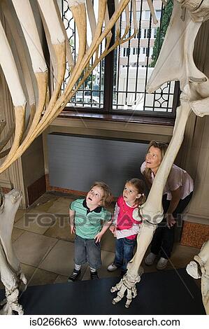 Mother and children looking at dinosaur skeleton View Large Photo Image Stock Image - Mother and children looking at dinosaur skeleton. Fotosearch