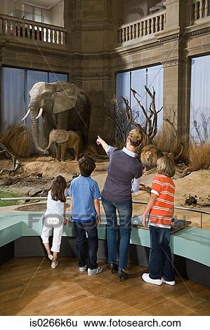 Mother with children in a museum View Large Photo Image Stock Photograph - Mother with children in a museum. Fotosearch