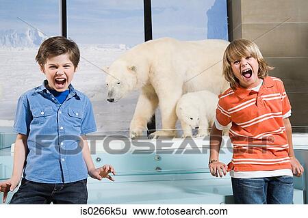 Stock Photograph - Scared boys screaming at polar bears. Fotosearch