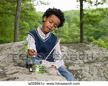 A boy doing an experiment on a plant View Large Photo Image Picture - A boy doing an experiment on a plant. Fotosearch