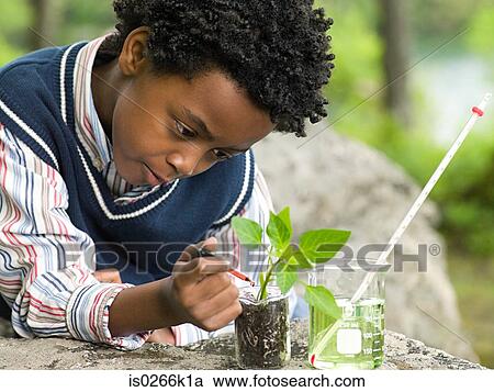 Stock Image - A boy doing an experiment on a plant. Fotosearch