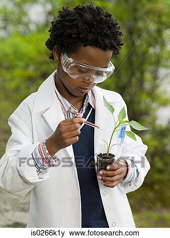 Stock Photo - A boy doing an experiment on a plant. Fotosearch