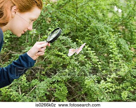 A girl looking at a butterfly with a magnifying glass View Large Photo Image Stock Photo - A girl looking at a butterfly with a magnifying glass. Fotosearch