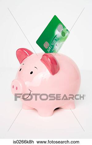 Credit card and a piggy bank View Large Photo Image Stock Image - Credit card and a piggy bank. Fotosearch