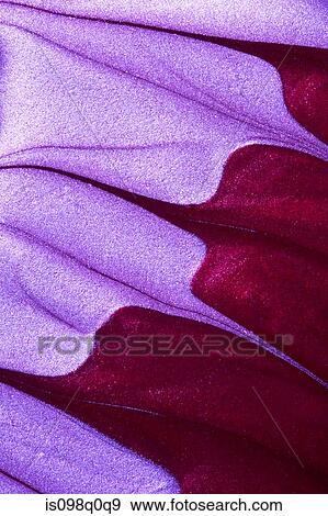 Nail varnish pattern View Large Photo Image Stock Photo - Nail varnish pattern. Fotosearch