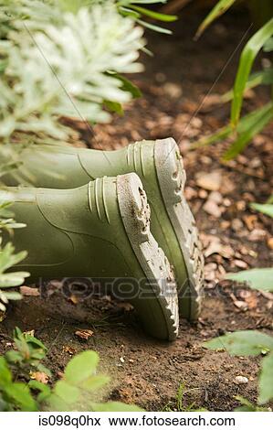 A pair of gardeners boots View Large Photo Image Stock Photo - A pair of gardeners boots. Fotosearch