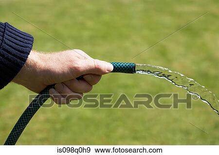 Man watering his garden View Large Photo Image Stock Photo - Man watering his garden. Fotosearch